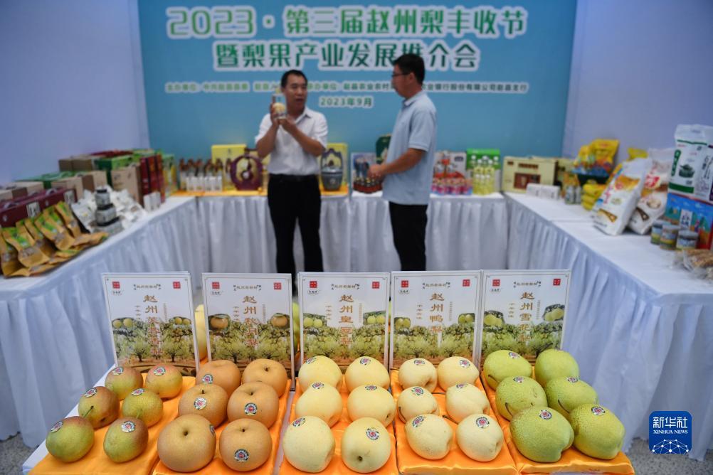打鱼游戏捕鱼